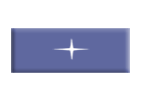 CSS Logo